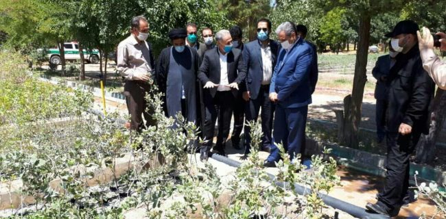 وزیر جهاد کشاورزی از نهالستان ایوان بازدید کرد/ اقدامات منابع طبیعی ایلام در تولید نهال  قابل تقدیر است