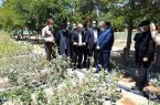 وزیر جهاد کشاورزی از نهالستان ایوان بازدید کرد/ اقدامات منابع طبیعی ایلام در تولید نهال  قابل تقدیر است
